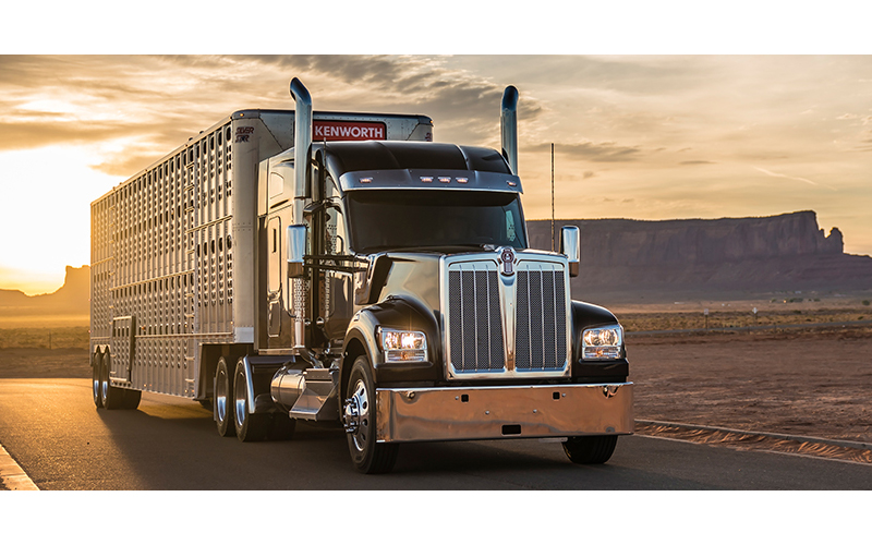 Kenworth W990 - image 1 of 5