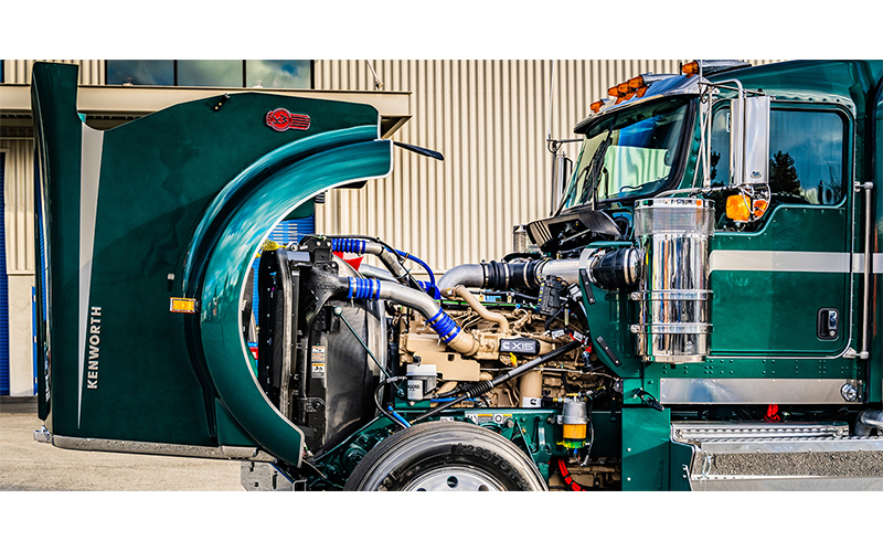 Kenworth W900 Legacy Edition - image 6 of 6