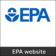 Group 1000009091 (2)